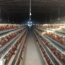 设备展示