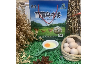 苜蓿鸟鸡蛋60枚