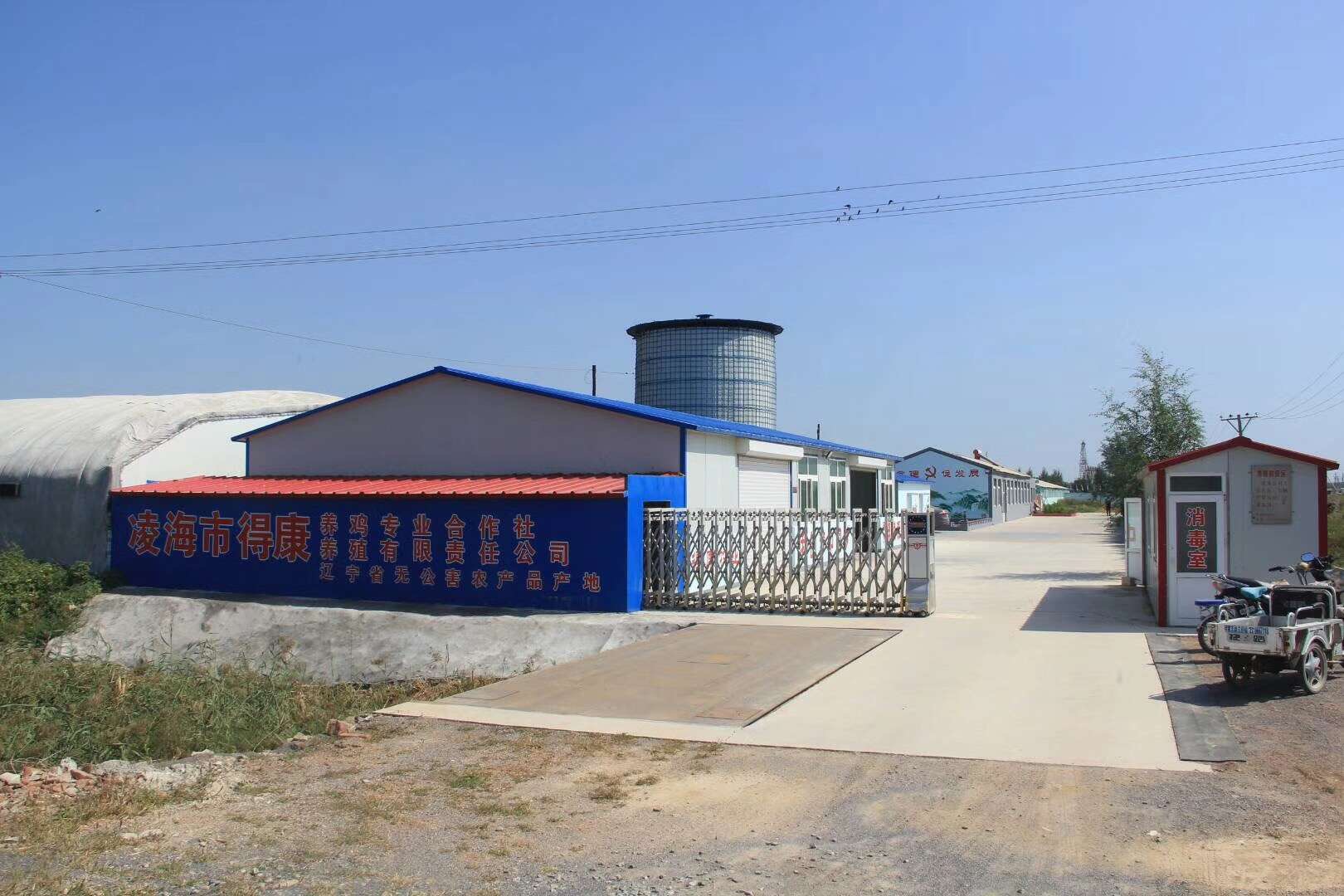 厂容厂貌