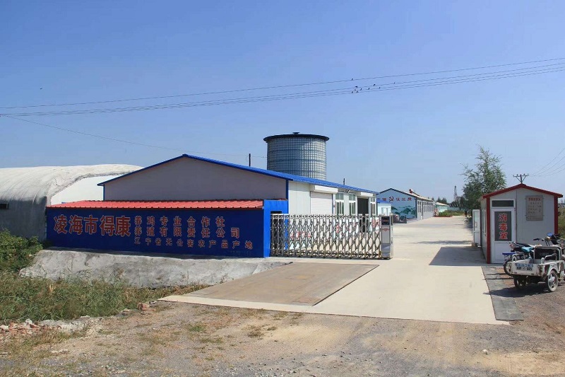 基地展示